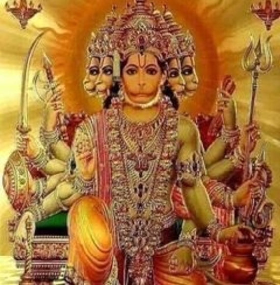 Meet your Posher, Geeta - Picture 1 of 1